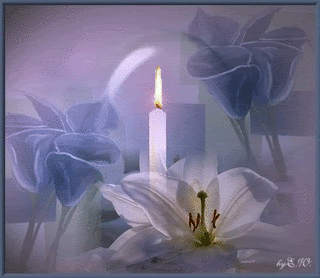[Image: candle_flowers-j95.gif]